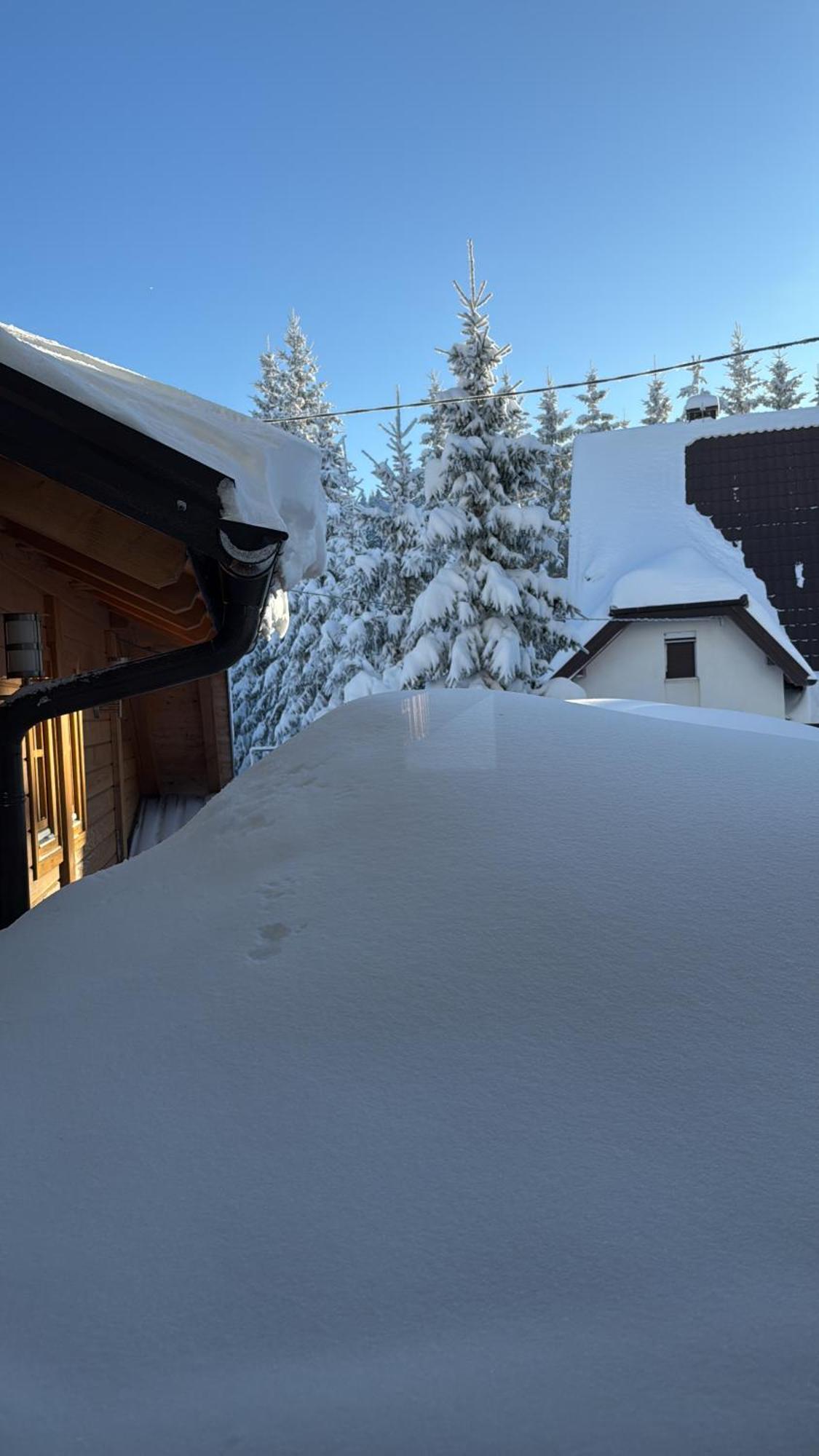 Guest House Alpha Ski Camp Jahorina Eksteriør billede